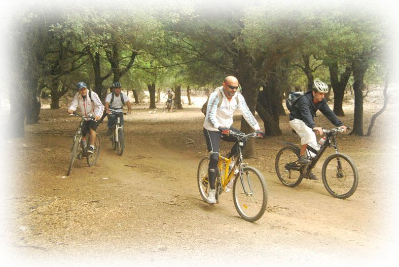 Arodamos Traditional Villas  Krousonas  Εξωτερικό φωτογραφία