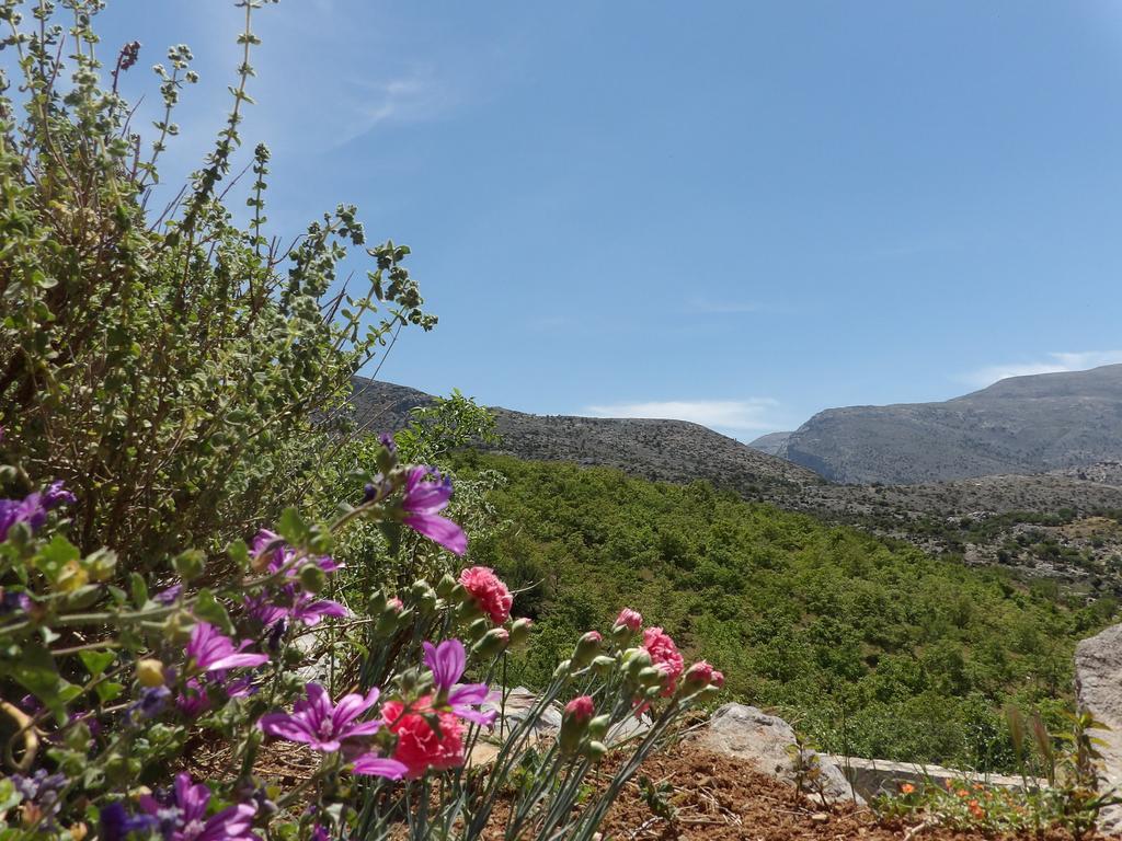 Arodamos Traditional Villas  Krousonas  Εξωτερικό φωτογραφία
