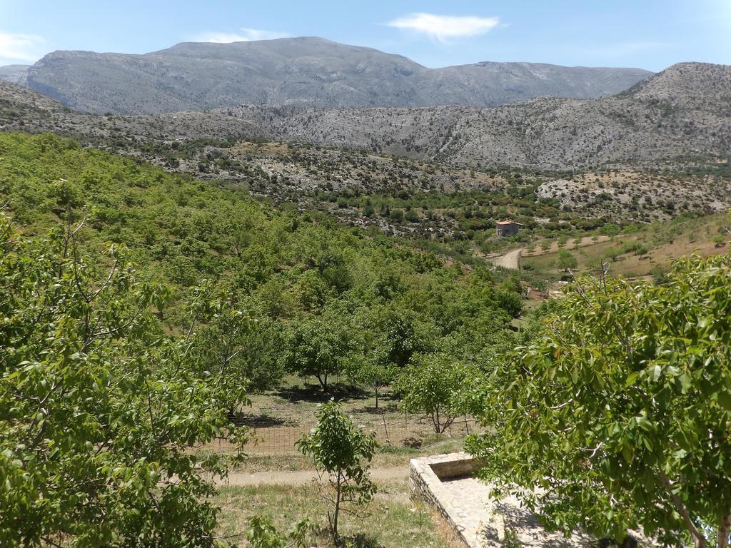 Arodamos Traditional Villas  Krousonas  Εξωτερικό φωτογραφία